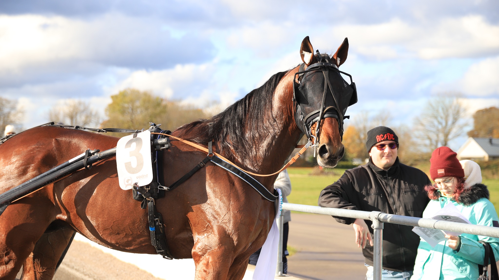 2025. aastal toimus Eestis 14 traavivõistlust ning kokku tehti 410 starti, mis on veidi vähem kui eelmisel hooajal. Eestisse tuldi võistlema Lätist, Leedust, So