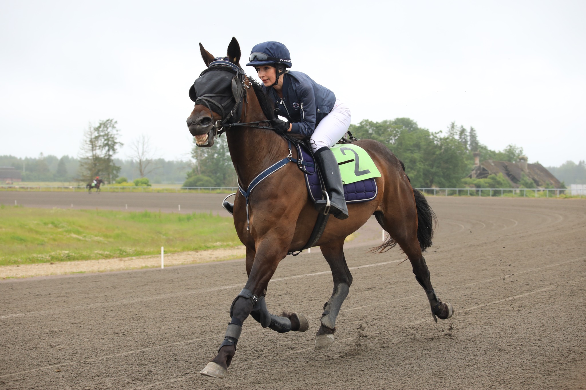 Eesti traavispordi ajalugu on kujundanud paljud suurepärased hobused, kuid vaid vähesed neist on suutnud ühendada pika võistluskarjääri ja mitmekülgsuse. Muscat