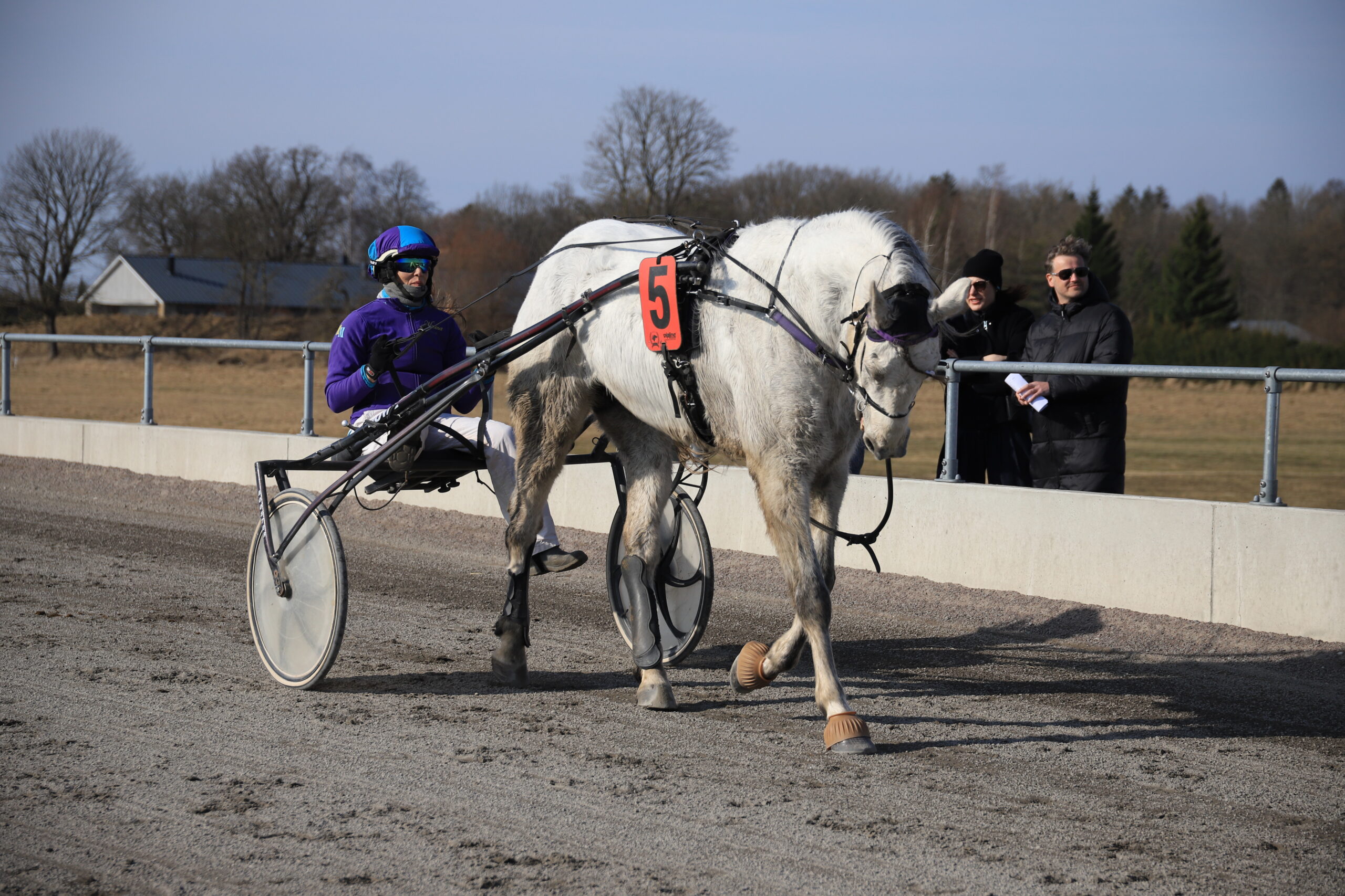 The post 14. märtsi traavivõistluste pildigalerii, fotod: Albert Privalov appeared first on Hipodroom.