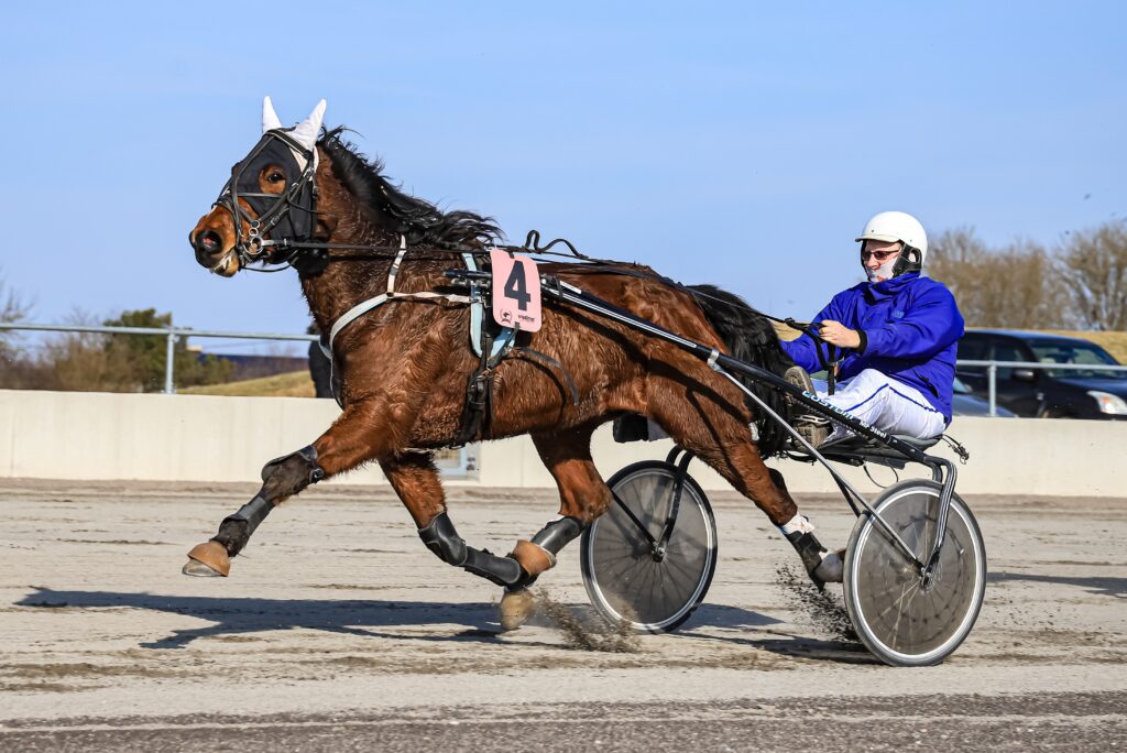 J.J. American Velvet ja kutsar Vilis Tsizevski.