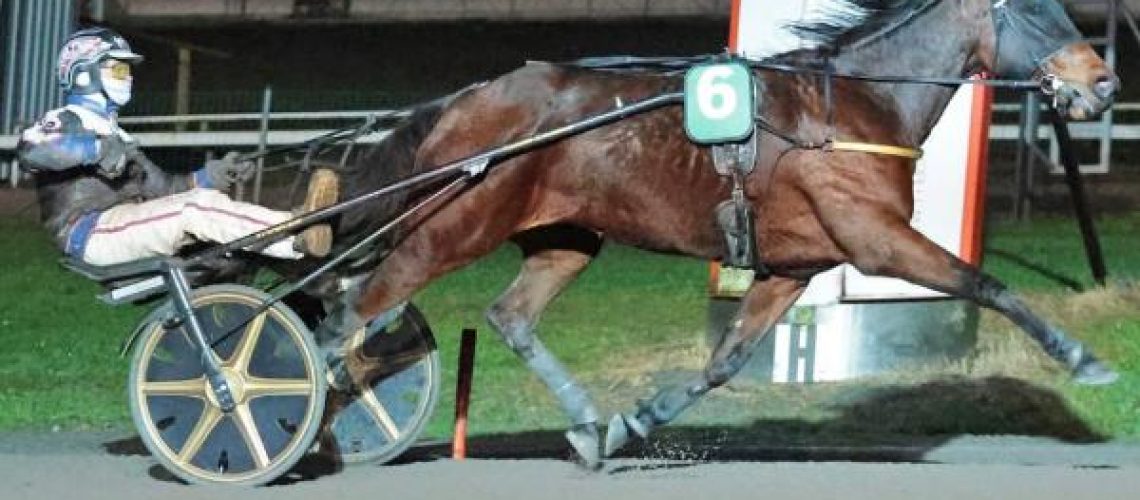 1553712934379851127 (1)