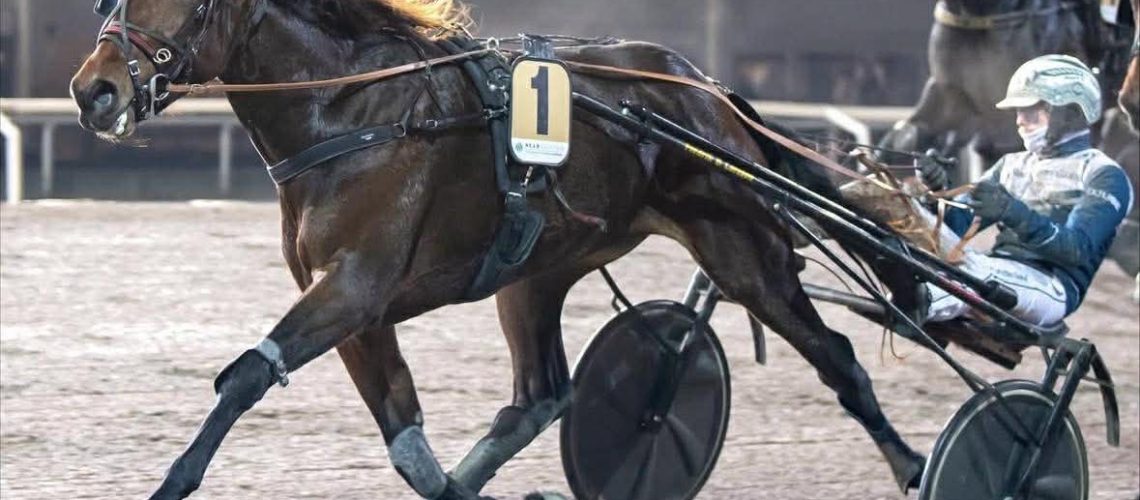 3a18a685-95e6-433f-8012-37ea5082fb97