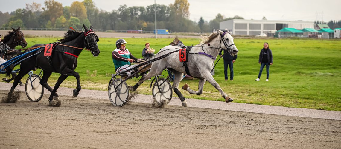 niras-emir-mikko-ojanpera